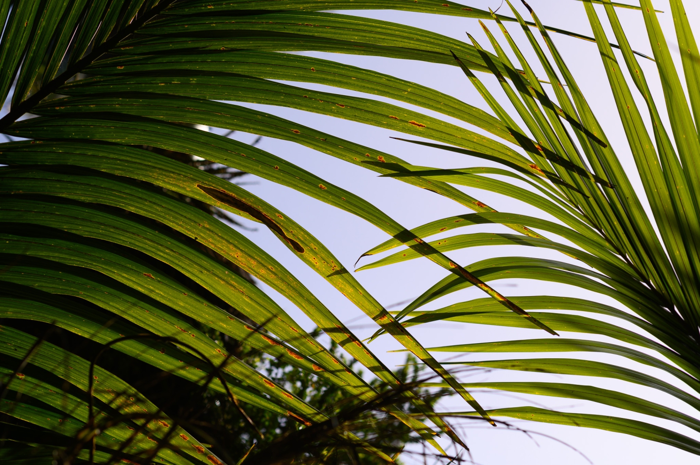 familien-und-hochzeitsblog-muenchen-tanja-engelhardt-fotografie